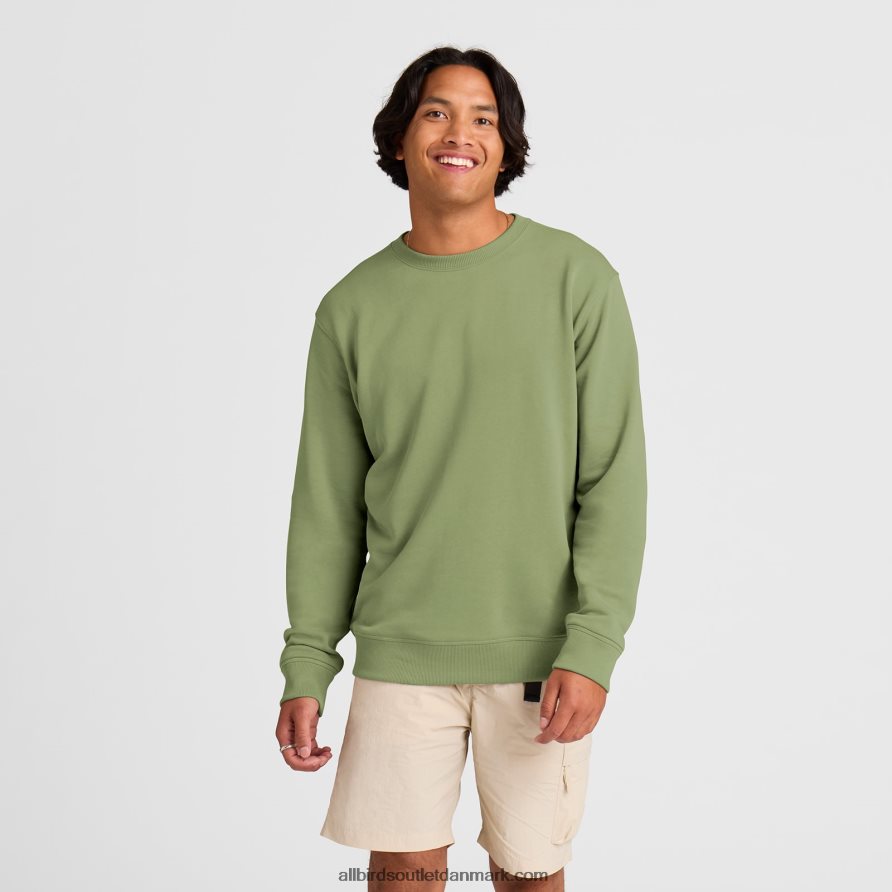 Allbirdsherre r&r sweatshirt X646JH129 rolig last