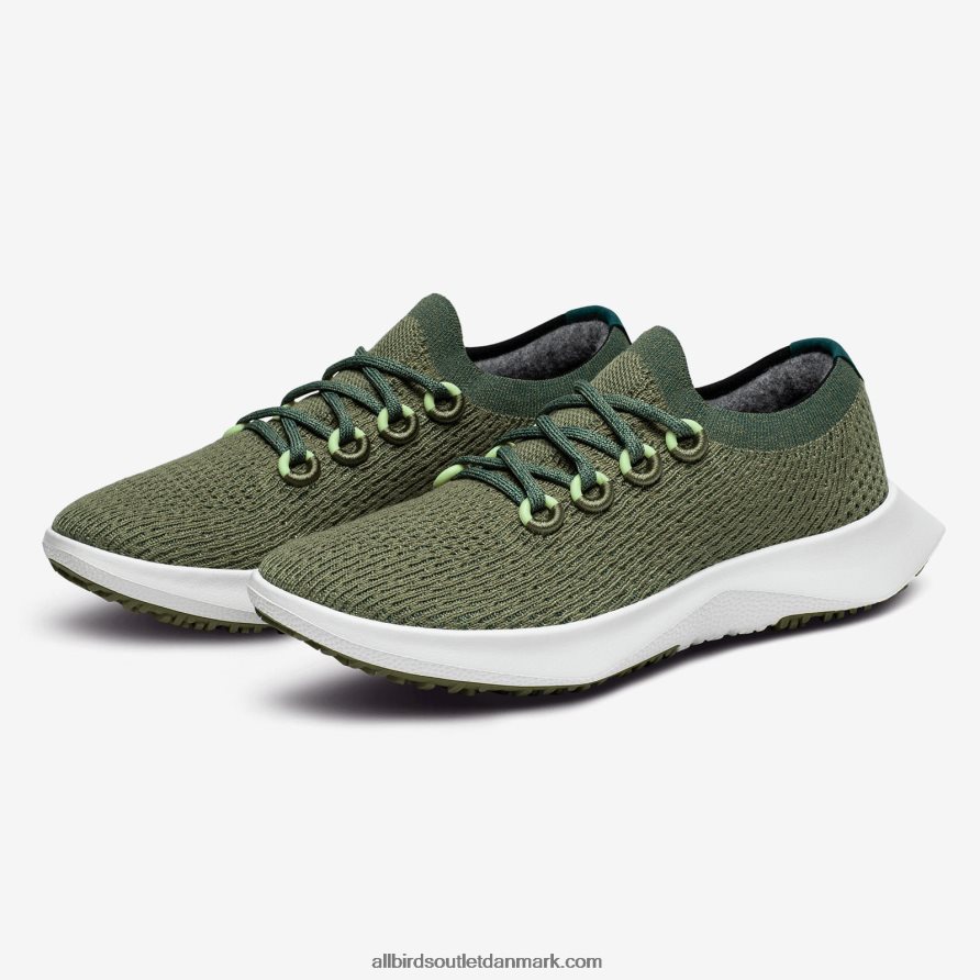 Allbirdsmænds træ dasher 2 X646JH18 rolig last (snestormsål)