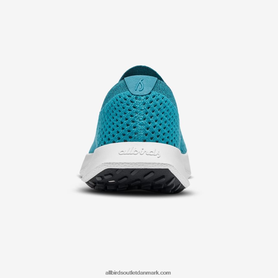 Allbirdsmænds træ dasher 2 X646JH22 trives blågrøn (snestormsål)