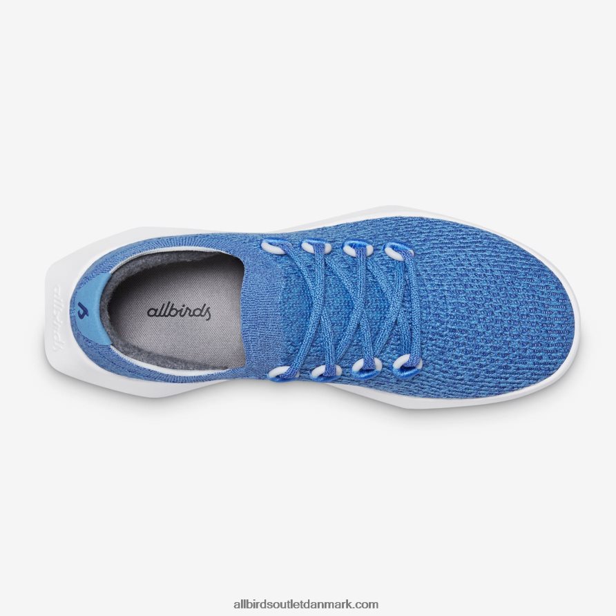 Allbirdsmænds træ dasher 2 X646JH23 flydende blå (snestormsål)